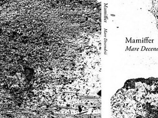 mamiffer-mare-decendrii-thumbnail