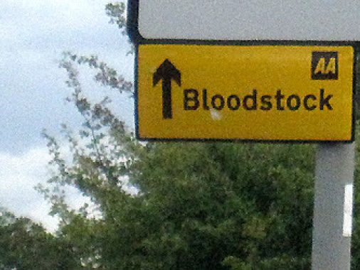 livereport-bloodstock-thumbnail