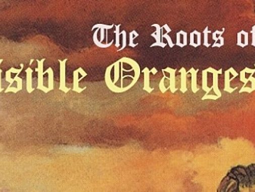 the-roots-of-invisible-oranges_t