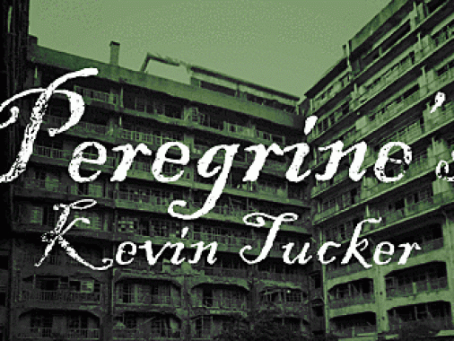 interview_kevin-tucker_peregrine_t