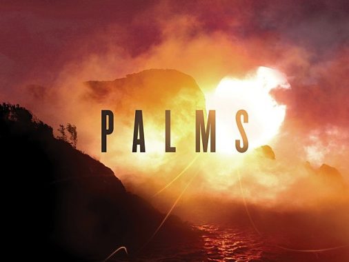Palms band cover art