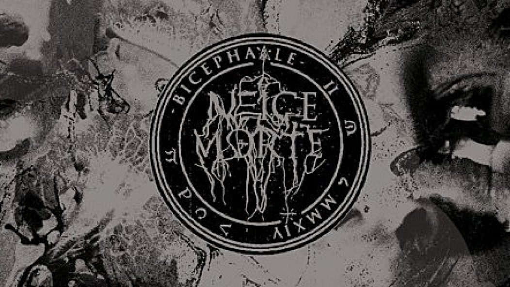 NEIGE-MORTE_BICEPHAALE thumb