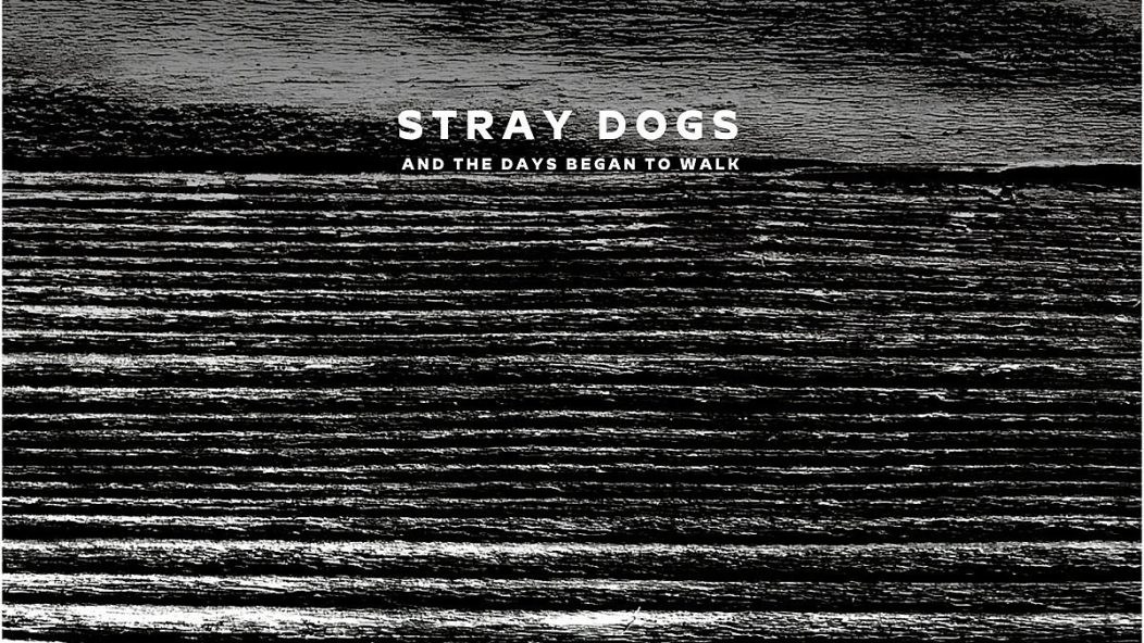 straydogs daysbegantowalk