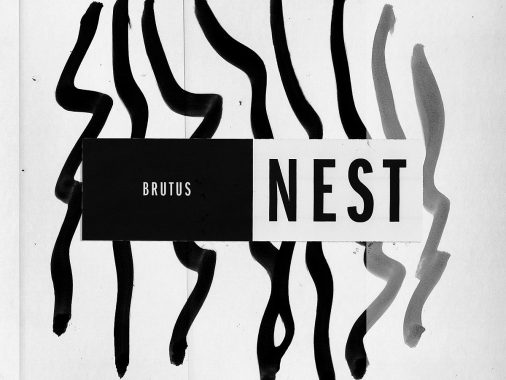 Brutus Nest
