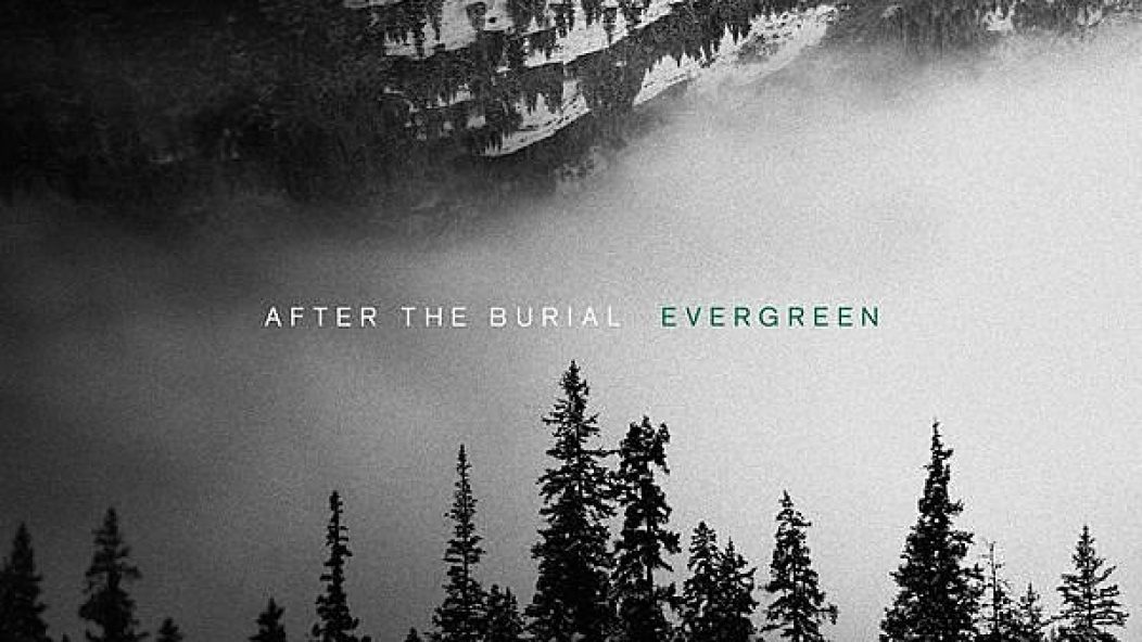 after the burial evergreen