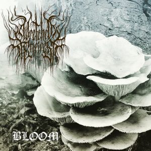 Wretched Empires - Bloom
