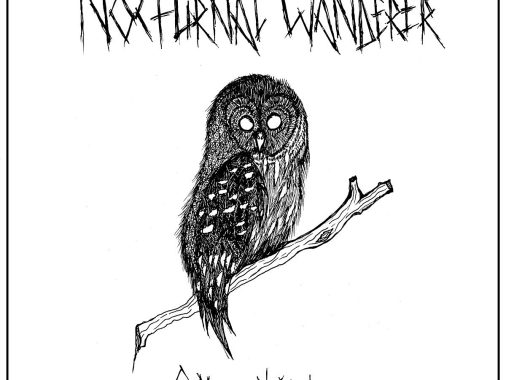 Nocturnal Wanderer Gift of the Night