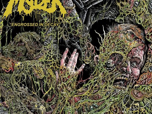 Molder - Engrossed in Decay