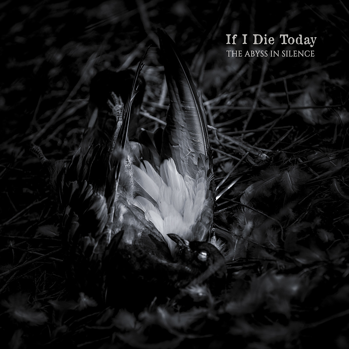 If I Die Today Abyss in Silence