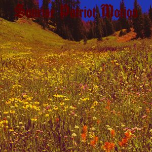 Sunrise Patriot Motion - Black Fellflower Stream