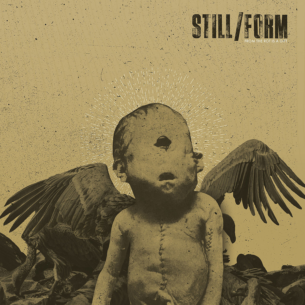 Still/Form From the Rot is a Gift