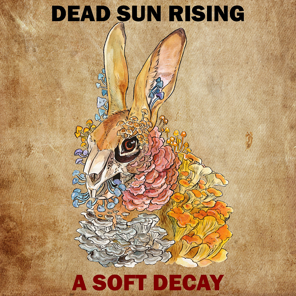 Dead Sun Rising A Soft Decay